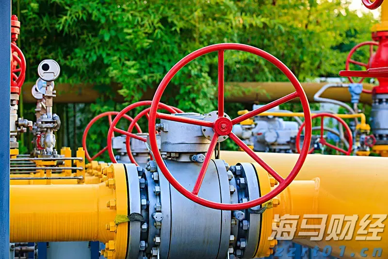 工行长丰支行暖心服务聋哑客户 无声交流传递金融温度